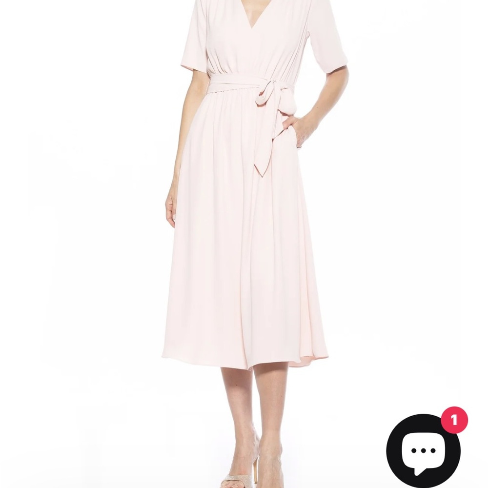 Alexia Admor. LARISA DRESS 
NWTs 
Great dress- classic